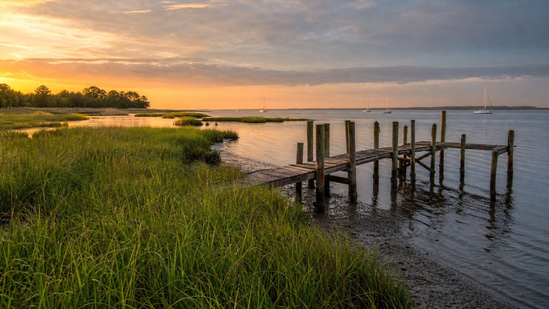Maryland